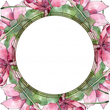 Lotus çiçek botanik çiçekler. Yabani bahar yaprağı kır çiçeği izole. Suluboya arka plan illüstrasyon seti. Suluboya çizim moda aquarelle izole. Çerçeve kenarlık süs karesi.