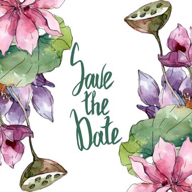 Lotus çiçek botanik çiçekler. Yabani bahar yaprağı kır çiçeği izole. Suluboya arka plan illüstrasyon seti. Suluboya çizim moda aquarelle izole. Çerçeve kenarlık süs karesi.