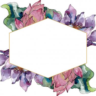 Lotus çiçek botanik çiçekler. Yabani bahar yaprağı kır çiçeği izole. Suluboya arka plan illüstrasyon seti. Suluboya çizim moda aquarelle izole. Çerçeve kenarlık süs karesi.