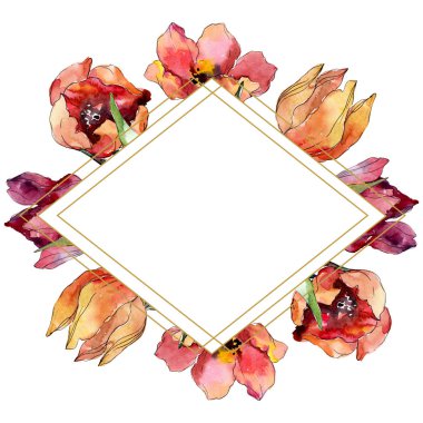 Kırmızı lale çiçek botanik çiçek. Yabani bahar yaprağı kır çiçeği izole. Suluboya arka plan illüstrasyon seti. Suluboya çizim moda aquarelle izole. Çerçeve kenarlık süs karesi.