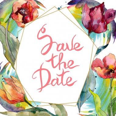 Kırmızı lale çiçek botanik çiçek. Yabani bahar yaprağı kır çiçeği izole. Suluboya arka plan illüstrasyon seti. Suluboya çizim moda aquarelle. Çerçeve kenar kristal süs kare.