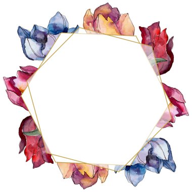 Lale çiçek botanik çiçekleri. Yabani bahar yaprağı kır çiçeği izole. Suluboya arka plan illüstrasyon seti. Suluboya çizim moda aquarelle izole. Çerçeve kenar kristal süs kare.