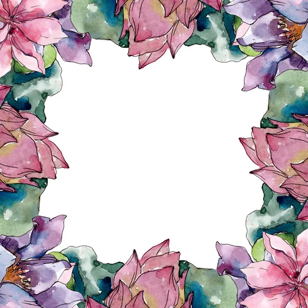 Lotusblüten Botanische Blumen Wildes Frühlingsblatt Wildblume Isoliert Aquarell Hintergrundillustration Set — Stockfoto
