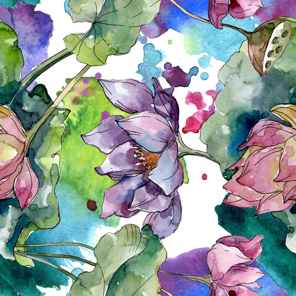 Lotus Bloemen Botanische Bloemen Wilde Lente Blad Wildflower Aquarel Illustratie — Stockfoto