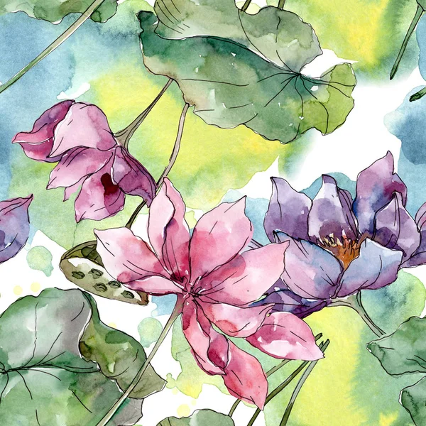 Lotus Floral Botanical Flowers Wild Spring Leaf Wildflower Watercolor Illustration — Stock Photo, Image