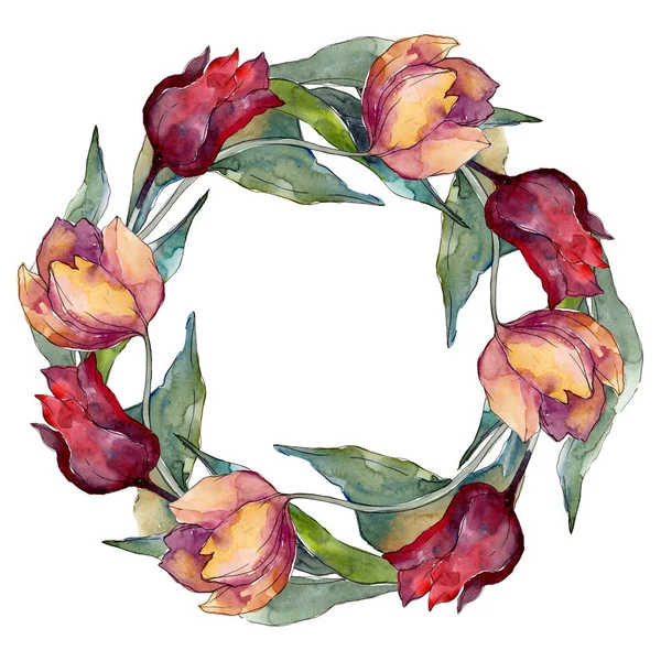 Tulipano Fiori Botanici Floreali Fiore Selvatico Primaverile Isolato Set Illustrazione — Foto Stock