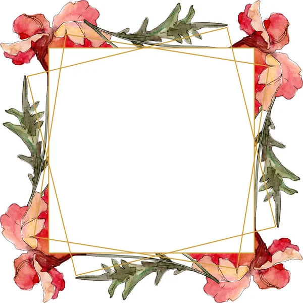 Fleur botanique florale de pavot. Ensemble d'illustration de fond aquarelle. Cadre bordure ornement carré . — Photo