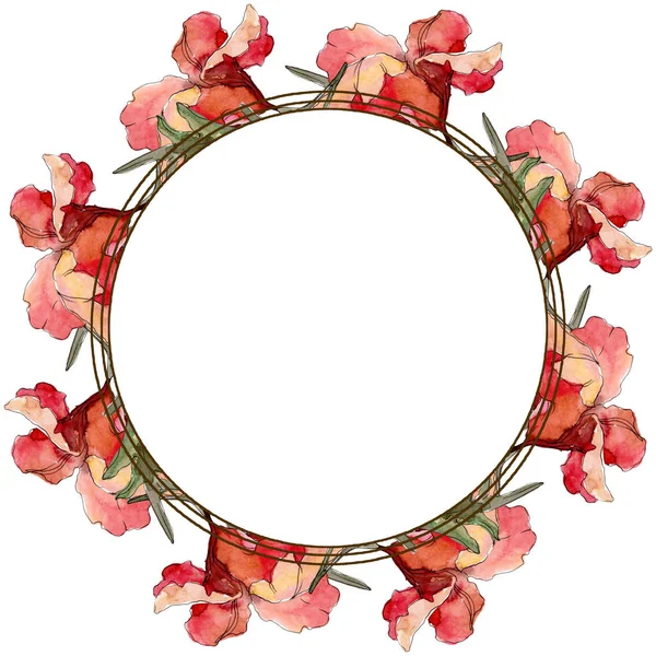Mohn blühende botanische Blume. Aquarell Hintergrundillustration Set. Rahmen Rand Ornament Quadrat. — Stockfoto