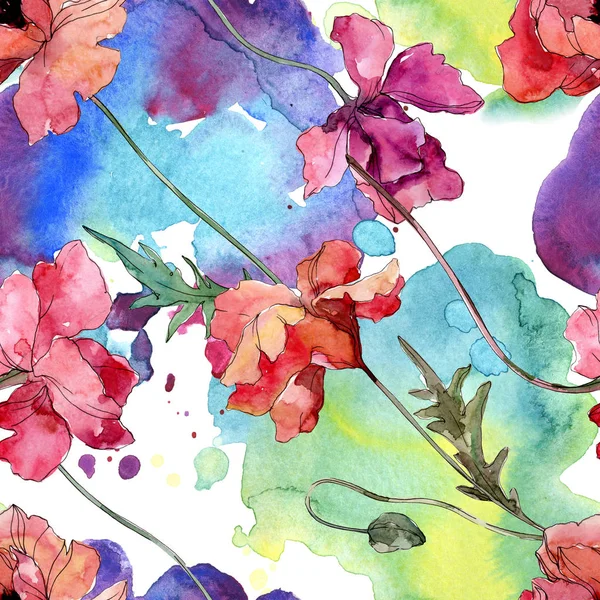 양귀비 꽃 식물 꽃입니다. 수채화 배경 일러스트 세트입니다. 원활한 배경 패턴. — 스톡 사진