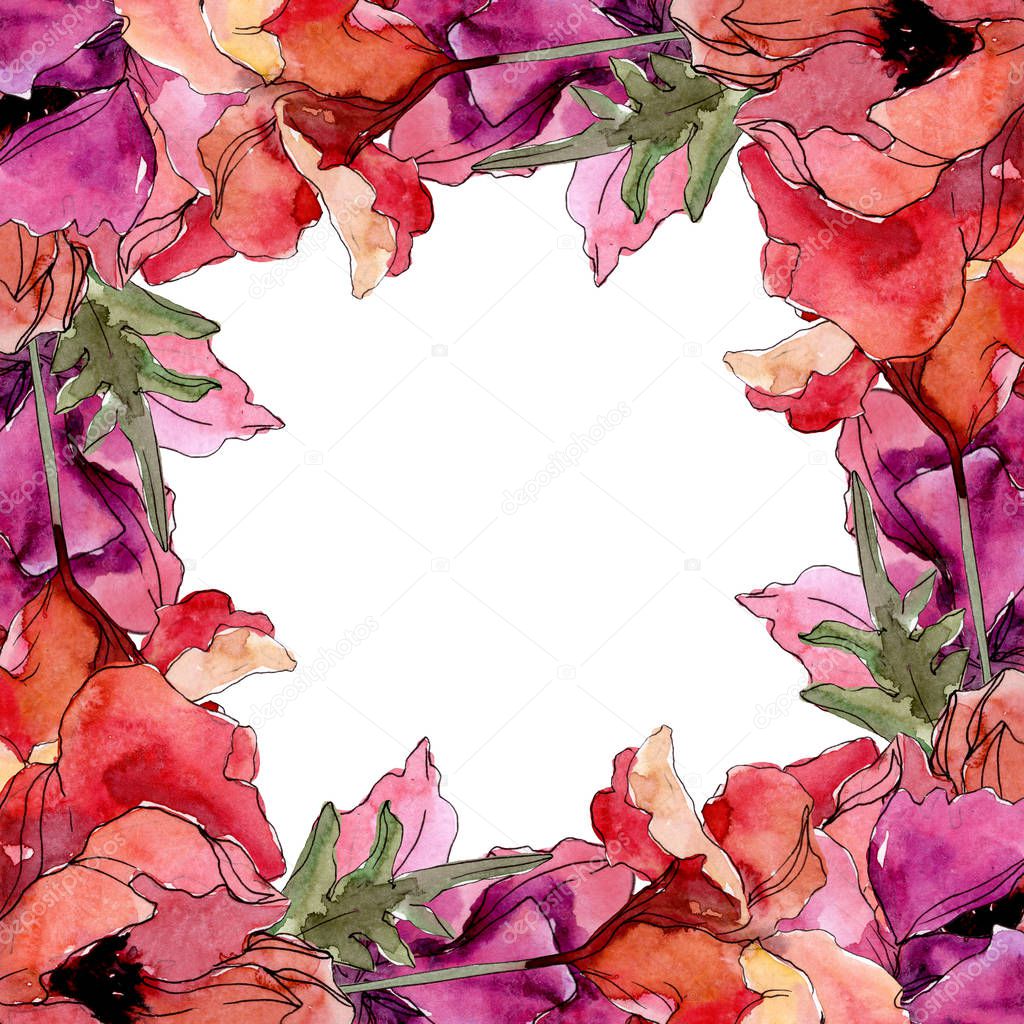 Poppy floral botanical flower. Watercolor background illustration set. Frame border ornament square.
