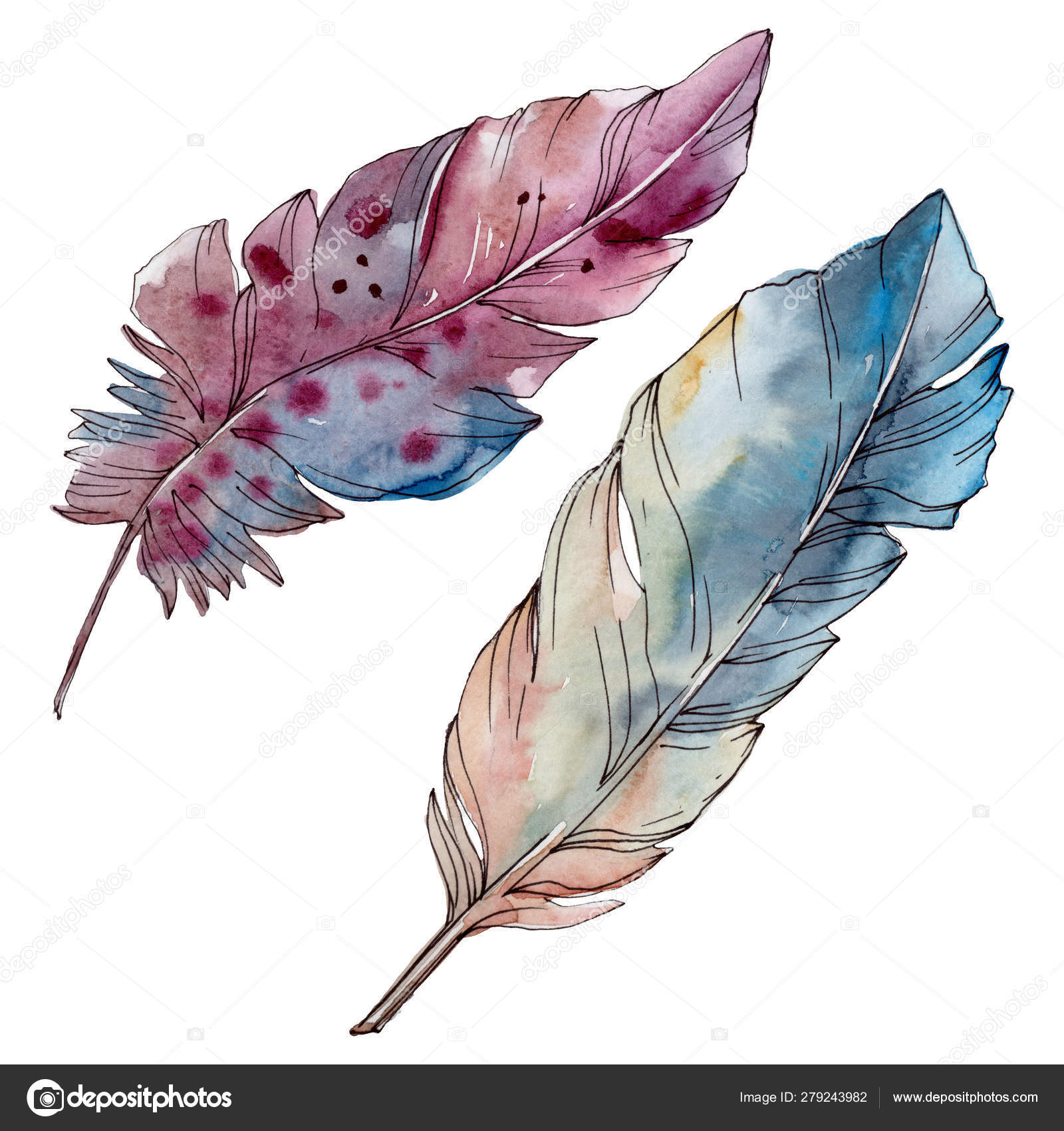 Set of bird feathers. Ease. Watercolor drawing. Natural elements.  Tropical.Isolated objects on a white background. Stock Illustration