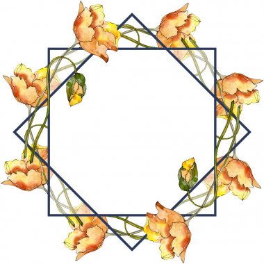Haşhaş çiçek botanik çiçek. Yabani bahar yaprağı kır çiçeği izole. Suluboya arka plan illüstrasyon seti. Suluboya çizim moda aquarelle izole. Çerçeve kenarlık süs karesi.