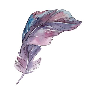 Colorful bird feather from wing isolated. Watercolor background set. Isolated feathers illustration element. clipart