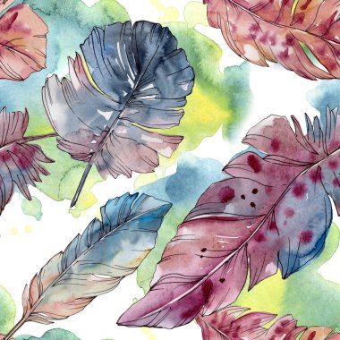 Kanat izole renkli kuş tüyü. Suluboya arka plan illüstrasyon seti. Kesintisiz arka plan deseni.