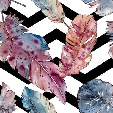 Kanat izole renkli kuş tüyü. Suluboya arka plan illüstrasyon seti. Kesintisiz arka plan deseni.