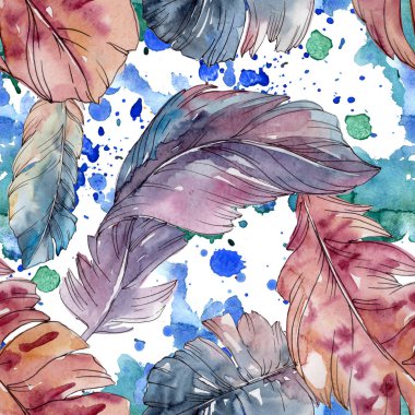 Kanat izole renkli kuş tüyü. Suluboya arka plan illüstrasyon seti. Kesintisiz arka plan deseni.