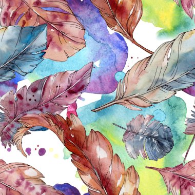 Kanat izole renkli kuş tüyü. Suluboya arka plan illüstrasyon seti. Kesintisiz arka plan deseni.