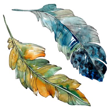 Kanat izole renkli kuş tüyü. Suluboya arka plan illüstrasyon seti. Yalıtılmış tüy çizim elemanı.