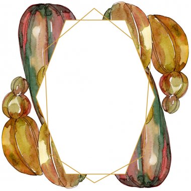 Kaktüs çiçek botanik çiçekleri. Yabani bahar yaprağı kır çiçeği izole. Suluboya arka plan illüstrasyon seti. Suluboya çizim moda aquarelle izole. Çerçeve kenar kristal süs kare.
