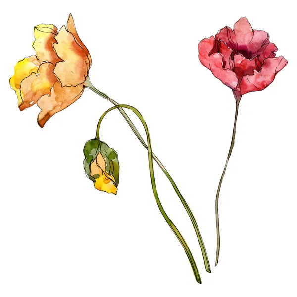Květinové Květiny Divoké Květinové Listy Vodný Obrázek Pozadí Barevný Akvarel — Stock fotografie