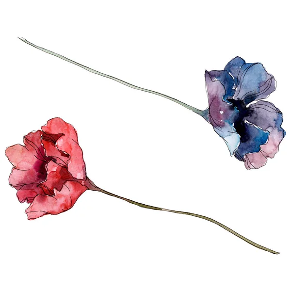 양귀비 꽃입니다 야생화입니다 수채화 일러스트 세트입니다 수채화 그리기 아쿠아렐 양귀비 — 스톡 사진