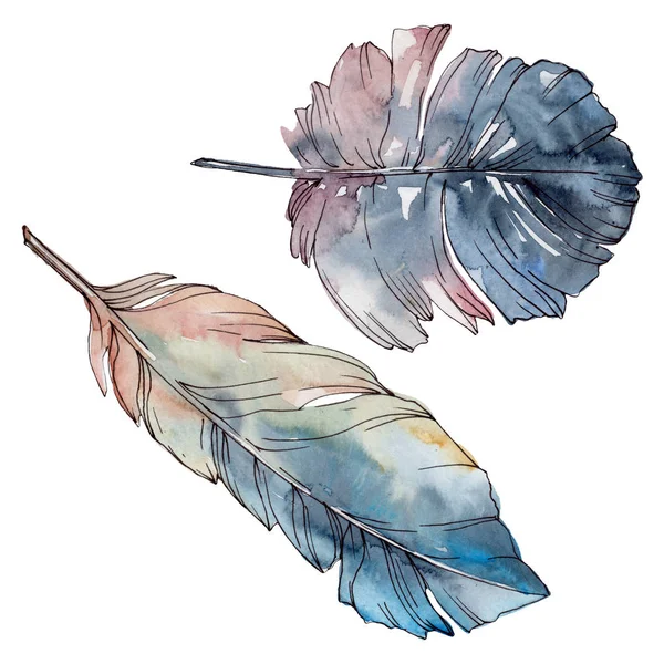 五颜六色的鸟羽毛从翅膀孤立。水彩背景集。分离羽毛插图元素. — 图库照片