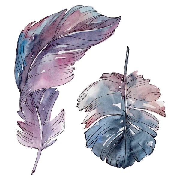 Colorful bird feather from wing isolated. Watercolor background set. Isolated feathers illustration element. — Stock Photo, Image