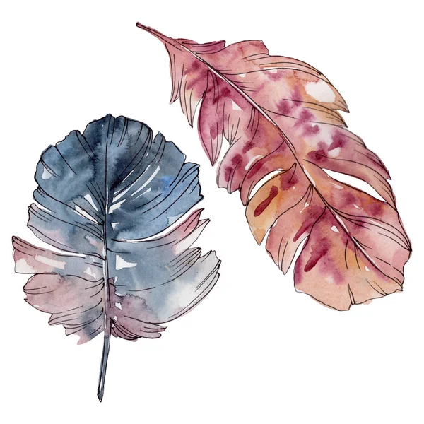 Colorful bird feather from wing isolated. Watercolor background set. Isolated feathers illustration element. — Stock Photo, Image