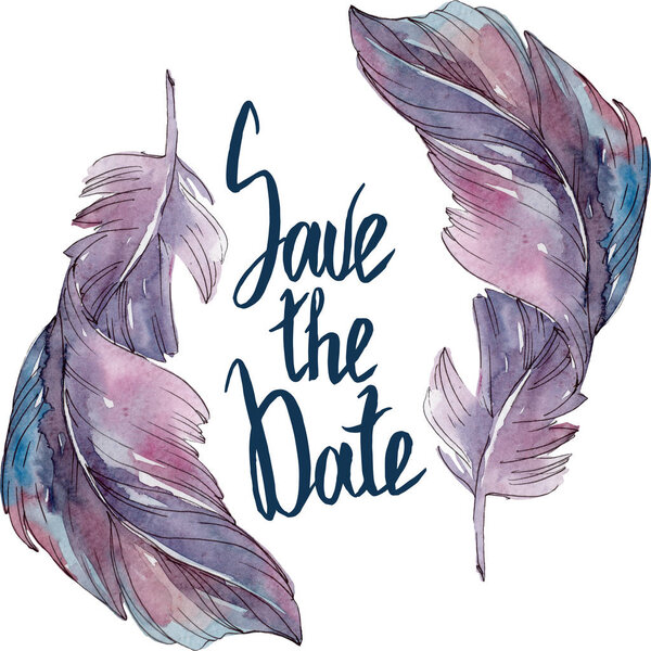 Красочное птичье перо из изолированного крыла. Набор акварельных фонов. Граничный орнамент
.