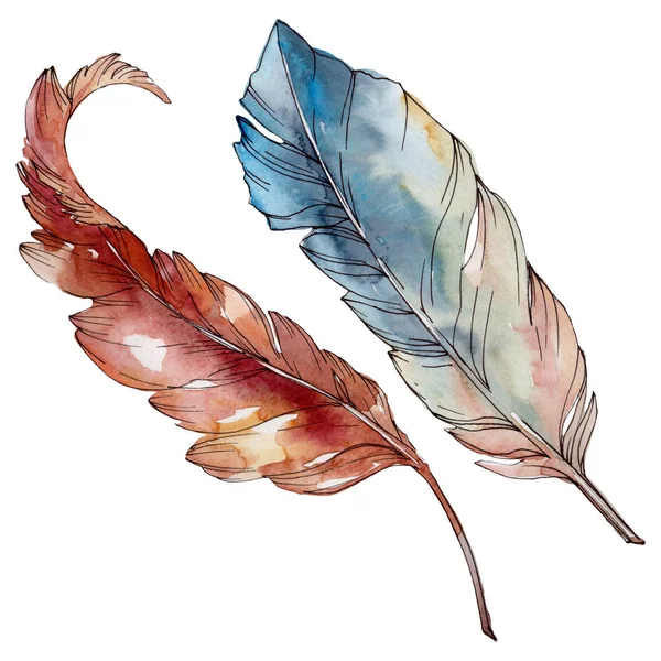 Colorful bird feather from wing isolated. Watercolor background set. Isolated feathers illustration element. — Stock Photo, Image