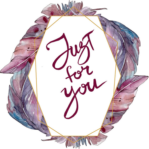 Красочное птичье перо из изолированного крыла. Набор акварельных фонов. Граничный орнамент
.