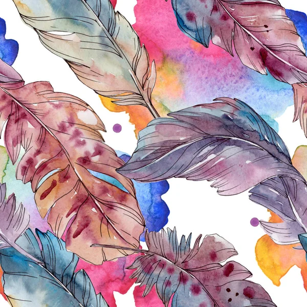 날개에서 고립 된 다채로운 새 깃털. 수채화 배경 일러스트 세트입니다. 원활한 배경 패턴. — 스톡 사진
