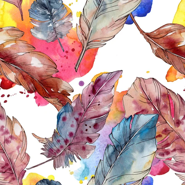 Colorful bird feather from wing isolated. Watercolor background illustration set. Seamless background pattern. — Stock Photo, Image