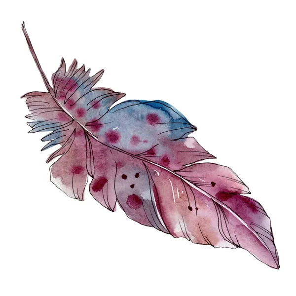 날개에서 고립 된 다채로운 새 깃털. 수채화 배경 세트입니다. 격리된 깃털 일러스트 요소. — 스톡 사진