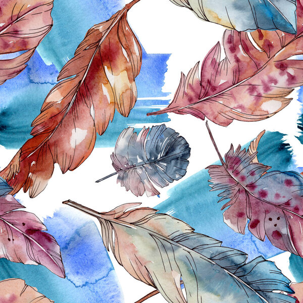 Colorful bird feather from wing isolated. Watercolor background illustration set. Seamless background pattern.