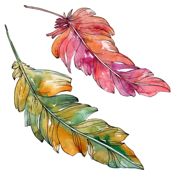 Pluma colorida de pájaro de ala aislada. Conjunto de ilustración de fondo acuarela. Elemento de ilustración de plumas aisladas . — Foto de Stock