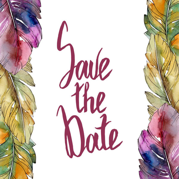 Красочное птичье перо из изолированного крыла. Набор акварельных фонов. Граничный орнамент
.