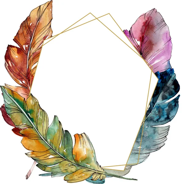 Colorful bird feather from wing isolated. Watercolor background illustration set. Frame border ornament square. — Stock Photo, Image