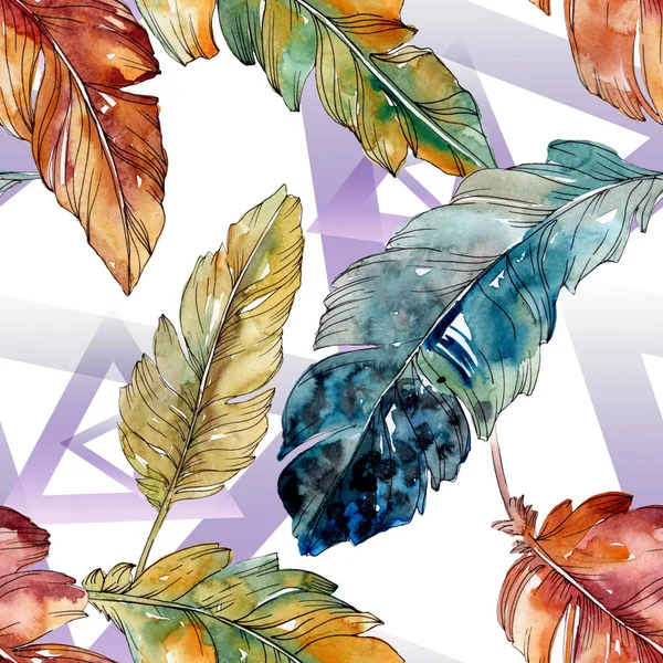 Colorful bird feather from wing isolated. Watercolor background illustration set. Seamless background pattern. — Stock Photo, Image