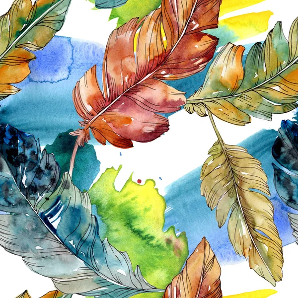 Colorful bird feather from wing isolated. Watercolor background illustration set. Seamless background pattern.