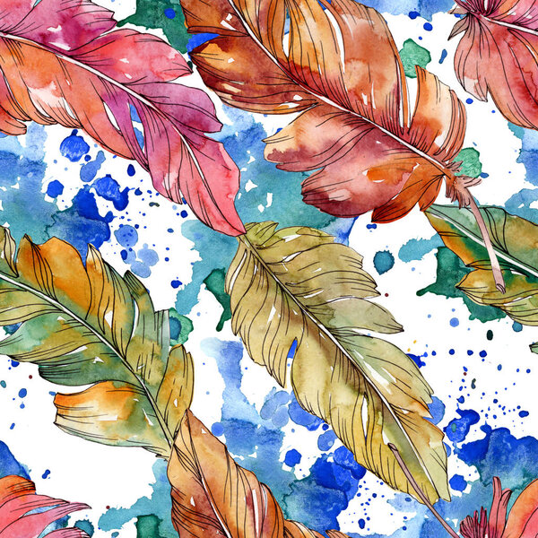 Colorful bird feather from wing isolated. Watercolor background illustration set. Seamless background pattern.