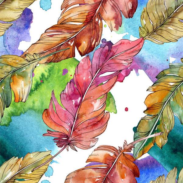 Colorful bird feather from wing isolated. Watercolor background illustration set. Seamless background pattern.