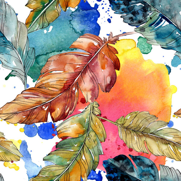 Colorful bird feather from wing isolated. Watercolor background illustration set. Seamless background pattern.