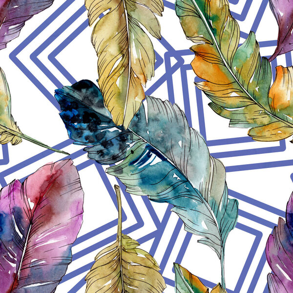 Colorful bird feather from wing isolated. Watercolor background illustration set. Seamless background pattern.