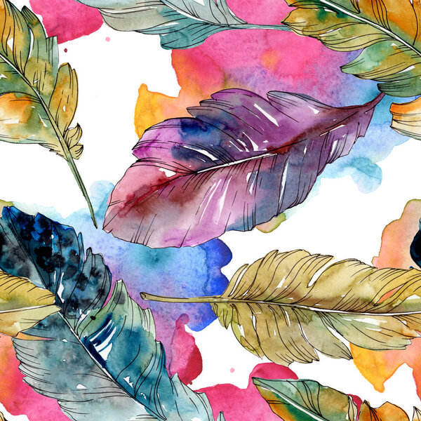 Colorful bird feather from wing isolated. Watercolor background illustration set. Seamless background pattern.