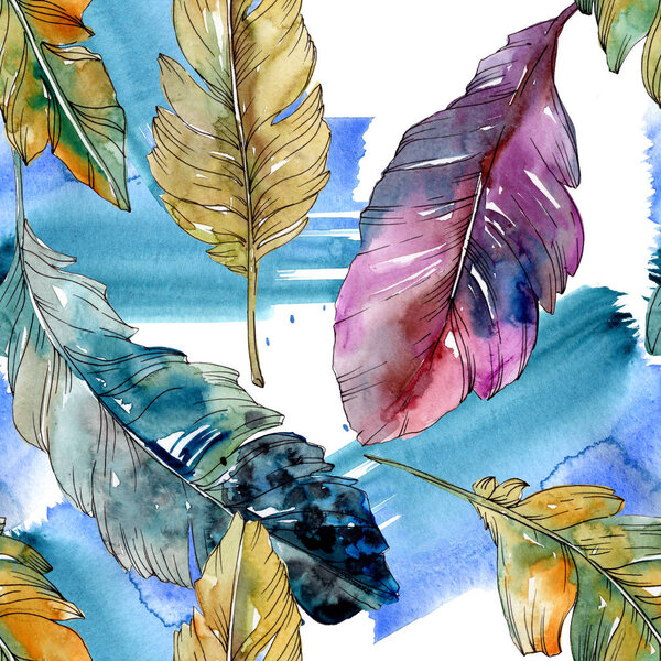 Colorful bird feather from wing isolated. Watercolor background illustration set. Seamless background pattern.