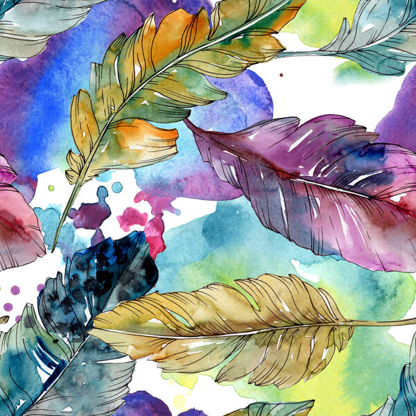 Colorful bird feather from wing isolated. Watercolor background illustration set. Seamless background pattern.