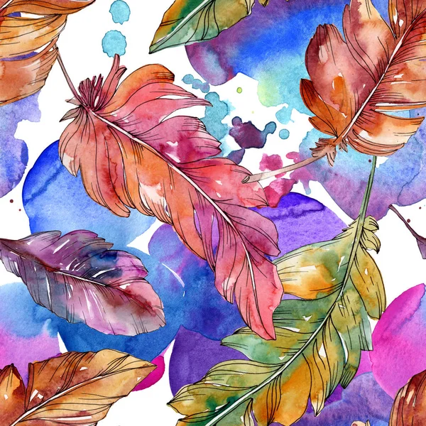 Colorful bird feather from wing isolated. Watercolor background illustration set. Seamless background pattern. — Stock Photo, Image