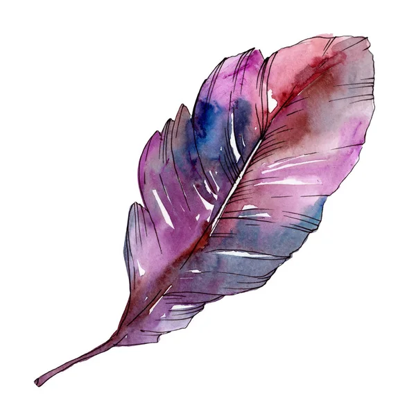 Colorful bird feather from wing isolated. Watercolor background illustration set. Isolated feather illustration element. — Stock Photo, Image