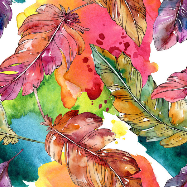 Colorful bird feather from wing isolated. Watercolor background illustration set. Seamless background pattern.
